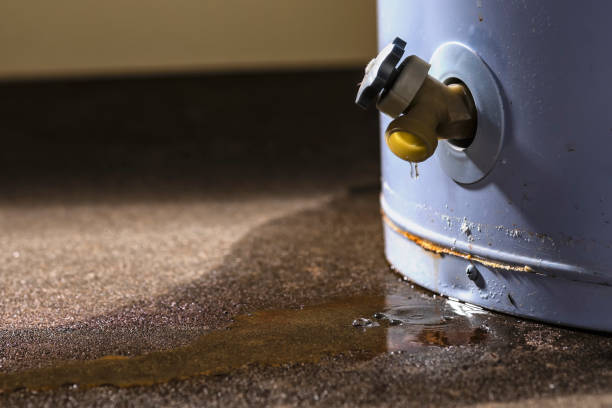Best Flood damage cleanup  in Manchester Center, VT