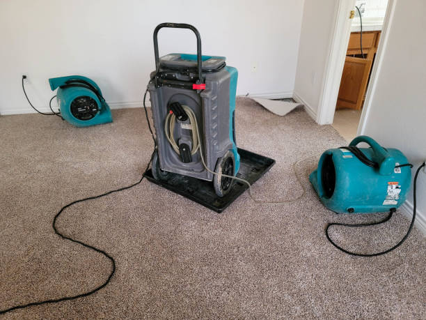 Best Fire Damage Restoration  in Manchester Center, VT