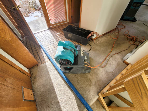 Best Flooded house restoration  in Manchester Center, VT