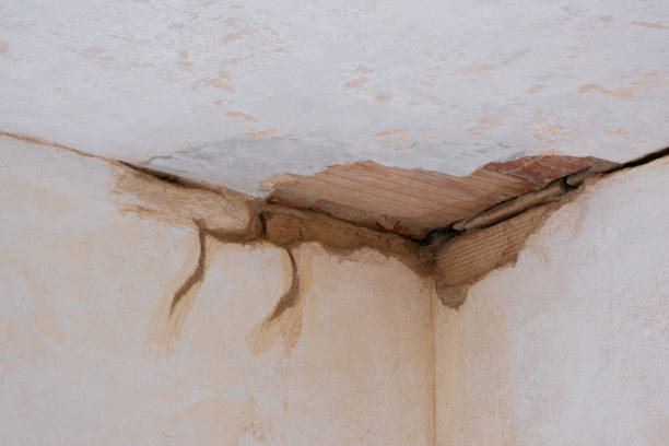 Best Ceiling water damage repair  in Manchester Center, VT