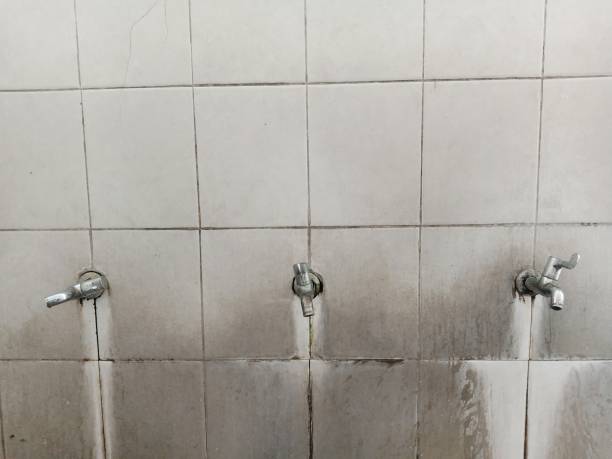 Carpet water damage restoration in Manchester Center, VT
