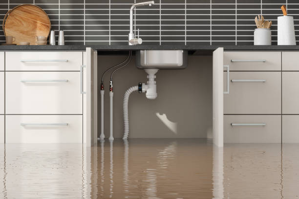 Best Water damage cleanup near me  in Manchester Center, VT