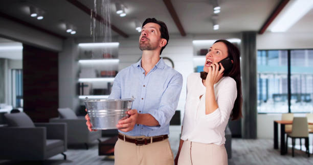 Best Professional water damage repair  in Manchester Center, VT